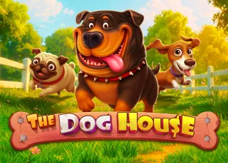 tong998 ทางเข้าล่าสุด The Dog House ทดลองเล่นฟรี